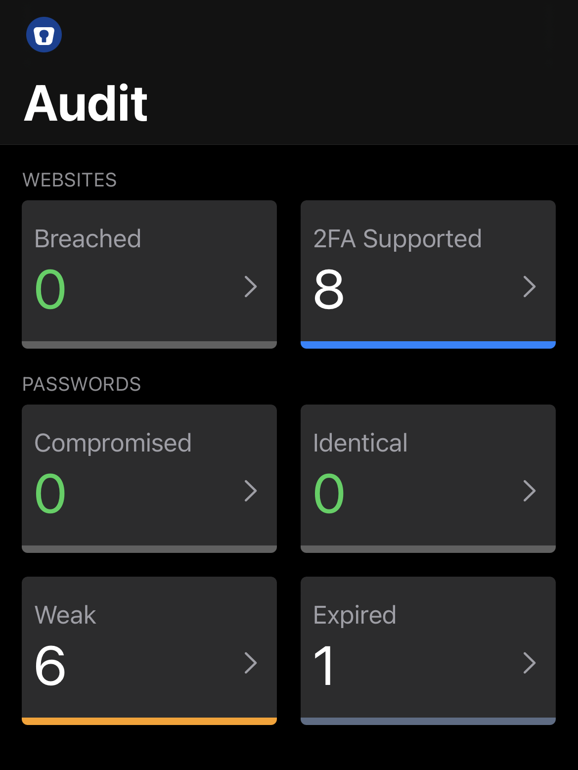 Password Audit section in Enpass on iPhone